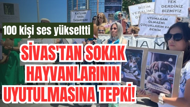 Sivas'tan Sokak Hayvanlarının Uyutulmasına Tepki! 
