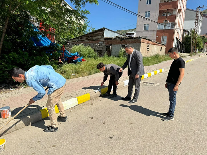Akıncılar'da kaldırım taşları boyandı
