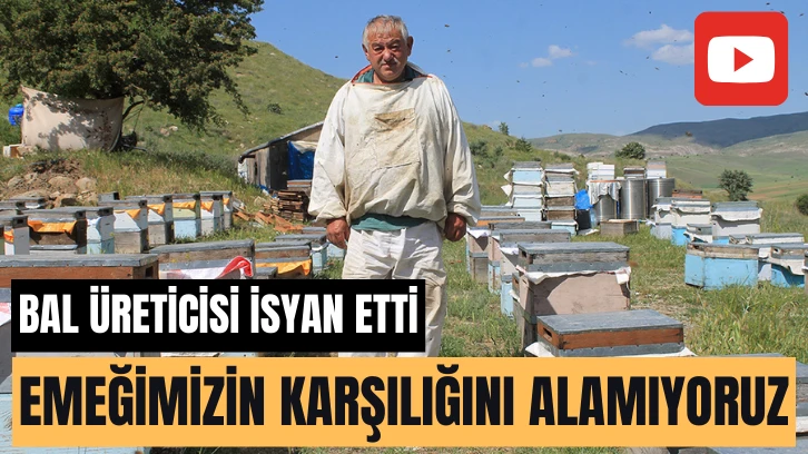 Bal Üreticisi İsyan Etti: Emeğimizin Karşılığını Alamıyoruz