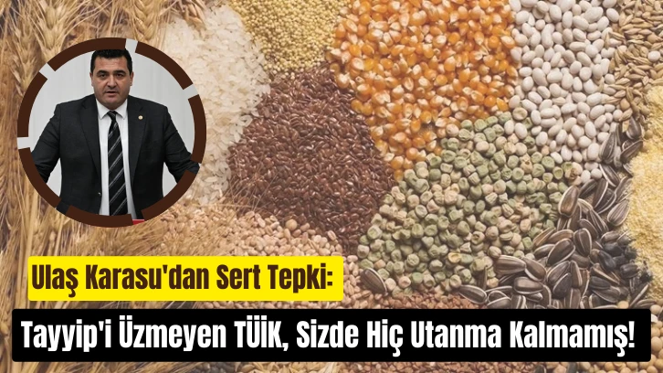 Ulaş Karasu'dan Sert Tepki: Tayyip'i Üzmeyen TÜİK, Sizde Hiç Utanma Kalmamış! 
