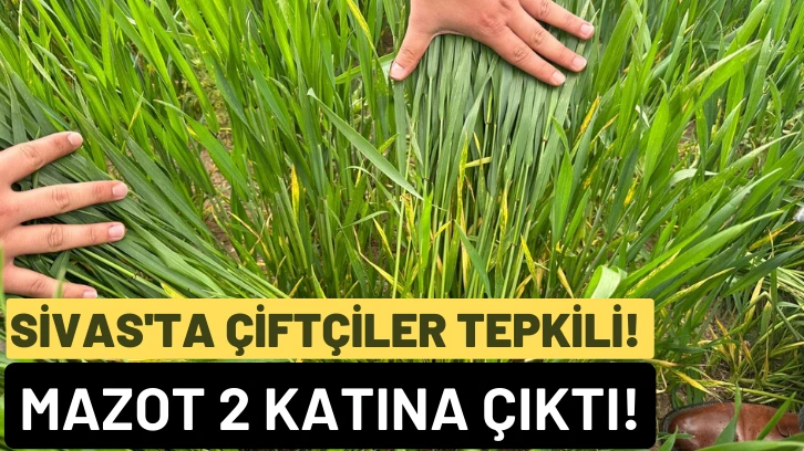 Sivas'ta Çiftçiler Tepkili! 