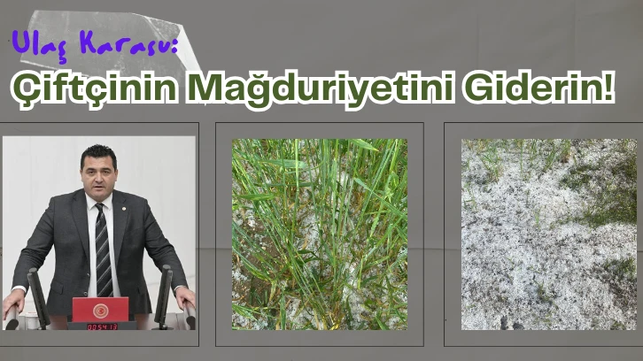 Ulaş Karasu: Çiftçinin Mağduriyetini Giderin! 