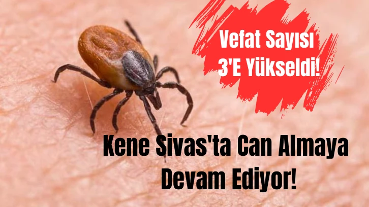 Kene Sivas'ta Can Almaya Devam Ediyor! Vefat Sayısı 3'e Yükseldi!