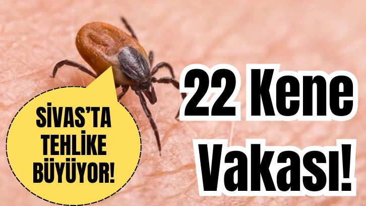 Sivas'ta Tehlike Büyüyor!  22 Kene Vakası!