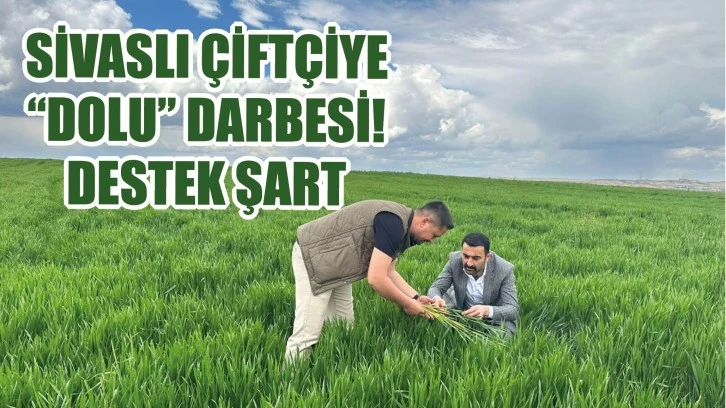 Sivaslı Çiftçiye “Dolu” Darbesi! Destek Şart
