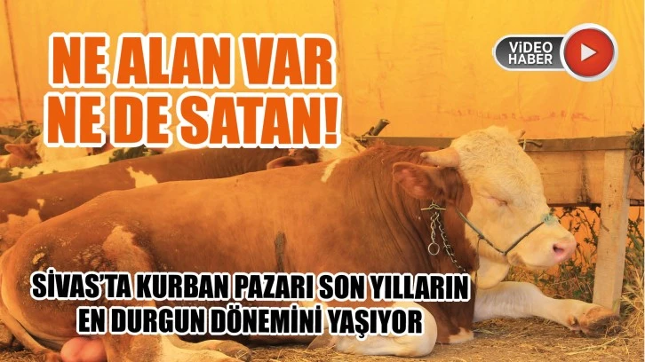 Ne Alan Var Ne De Satan