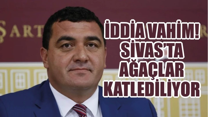 İddia Vahim! Sivas'ta Ağaçlar Katlediliyor!
