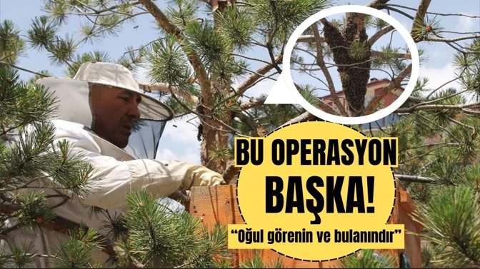 Bu Operasyon Başka!