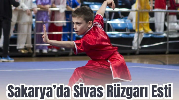 Sakarya’da Sivas Rüzgarı Esti