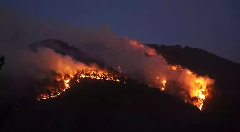 6 İlçede Yangın Çıktı! Alevler Koyun Sürüsünü Yuttu!