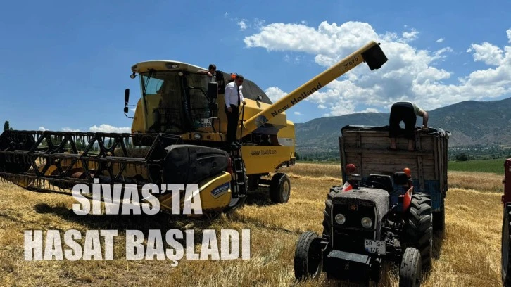 Sivas'ta Hasat Başladı