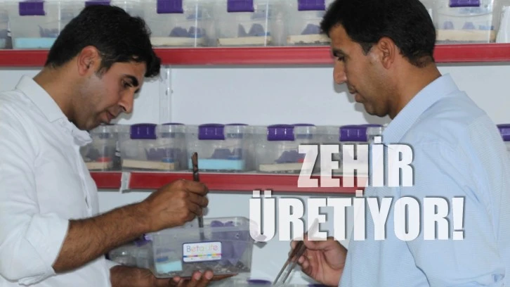 Zehir Üretiyor!