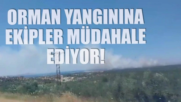 Orman Yangınına Ekipler Müdahale Ediyor!