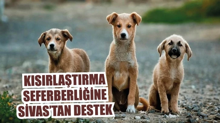 Kısırlaştırma Seferberliğine Sivas’tan Destek