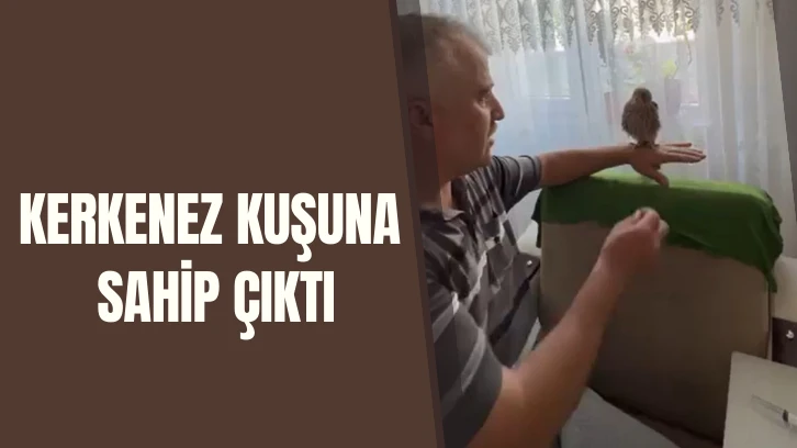 Kerkenez Kuşuna Sahip Çıktı