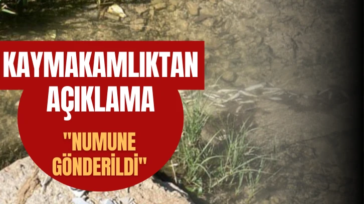 Kaymakamlıktan Açıklama ''Numune Gönderildi''