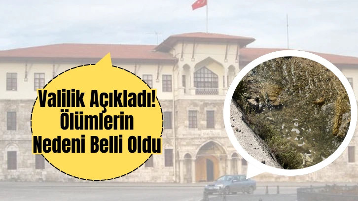 Valilik Açıkladı! Ölümlerin Nedeni Belli Oldu