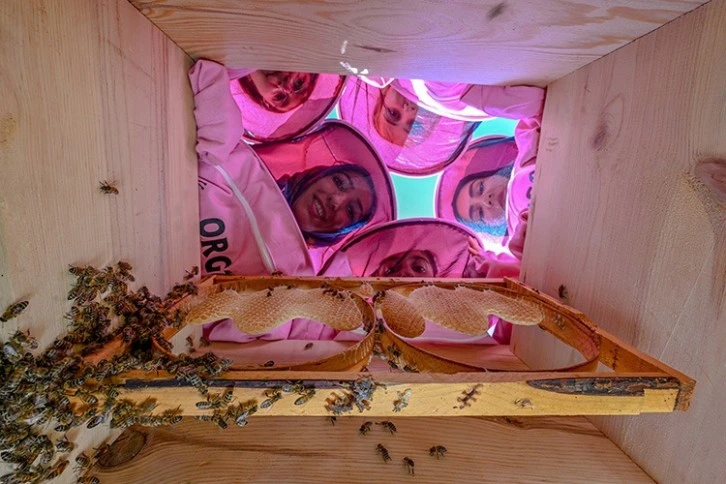 Pembe Kıyafetli Arıcılar Söz Sahibi Olmak İstiyor