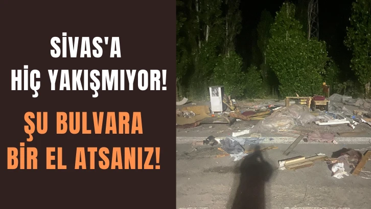 Sivas'a Hiç Yakışmıyor! Şu Bulvara Bir El Atsanız! 