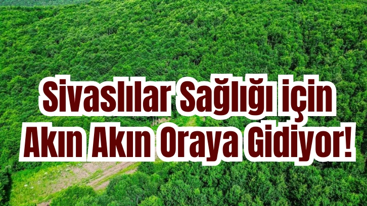 Sivaslılar Sağlığı için Akın Akın Oraya Gidiyor! 