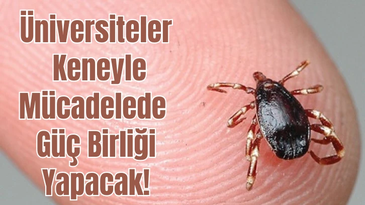 Üniversiteler Keneyle Mücadelede Güç Birliği Yapacak!