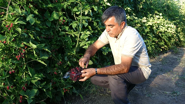 Hobi Olarak Başladı, Gelir Kapısı Oldu 
