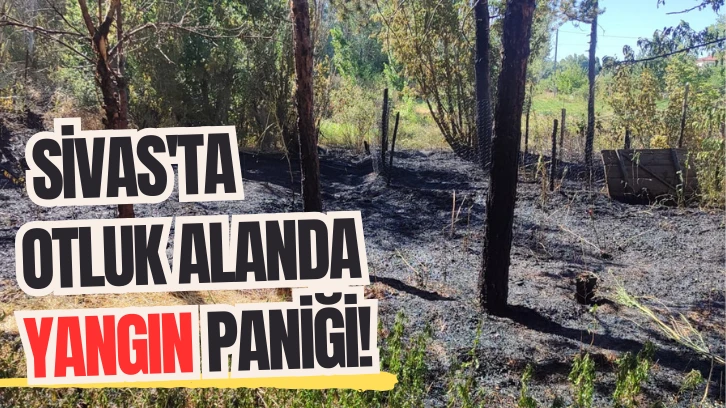 Sivas'ta Otluk Alanda Yangın Paniği!