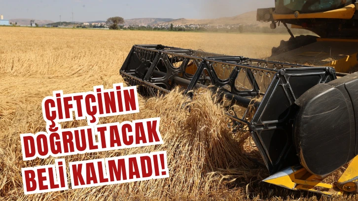 Çiftçinin Doğrultacak Beli Kalmadı! 