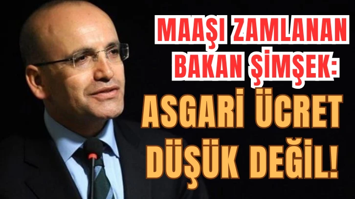 Maaşı Zamlanan Bakan Şimşek: Asgari Ücret Düşük Değil!