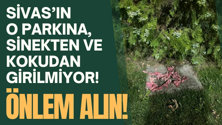 Sivas’ın O Parkına, Sinekten ve Kokudan Girilmiyor! Önlem Alın!