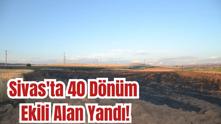 Sivas'ta 40 Dönüm Ekili Alan Yandı!