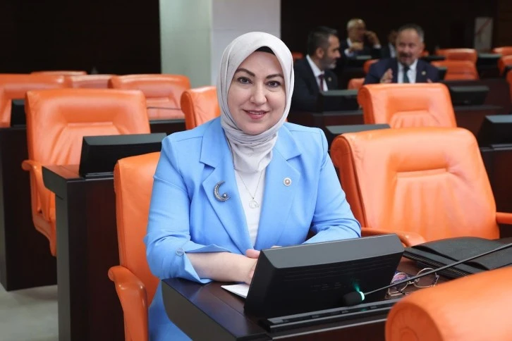 Rukiye Toy Meclis'te Konuştu: Bizi Bizden Olana Düşman Etmeye Çalıştılar 