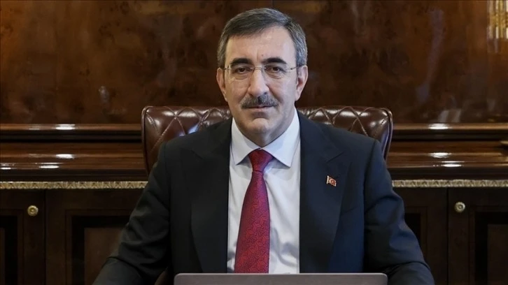 Cumhurbaşkanı Yardımcısından Enflasyon Açıklaması 