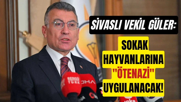 Sivaslı Vekil Sokak Hayvanlarına 'Ötenazi' Uygulanacağını Söyledi