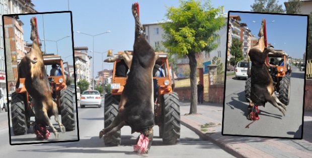 KURBANLIĞA BU YAPILMAZ