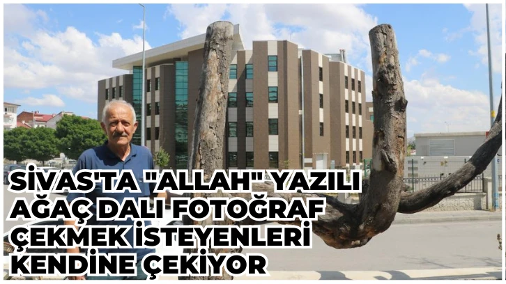 Sivas'ta 'Allah' Yazılı Ağaç Dalı Fotoğraf Çekmek İsteyenleri Kendine Çekiyor