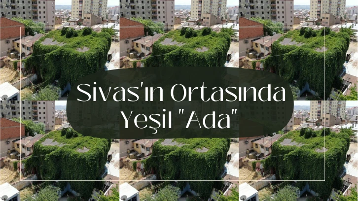 Sivas'ın Ortasında Yeşil  'Ada' 
