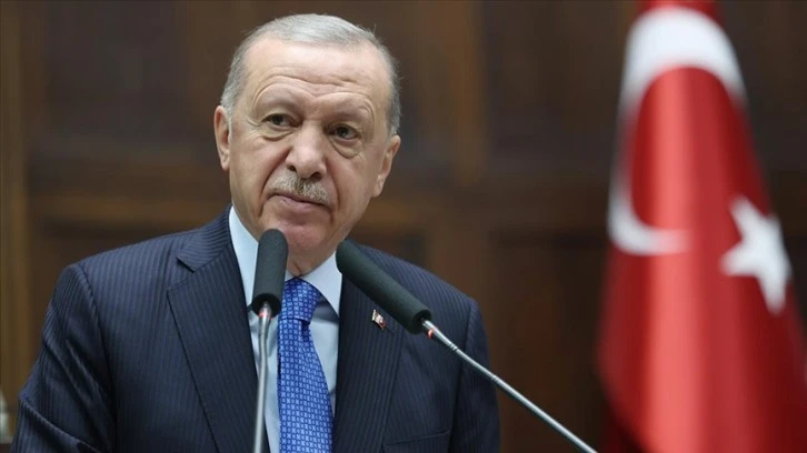 Cumhurbaşkanı Erdoğan 'Sokak Hayvanları' İle İlgili Yasada Kararladı! 