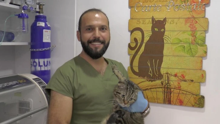 'Kedi Virüsü Gebeliği Sonlandırabilir'