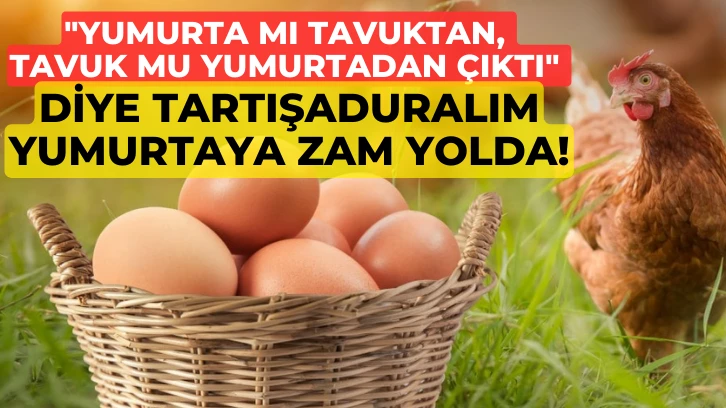 'Yumurta mı Tavuktan, Tavuk mu Yumurtadan Çıktı' Diye Tartışaduralım Yumurtaya Zam Yolda!