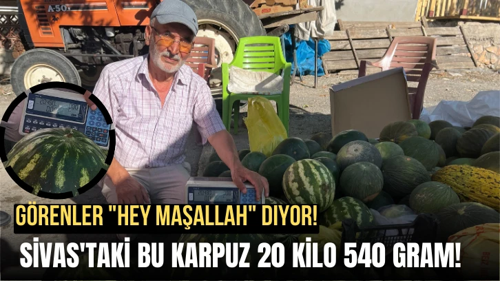 Görenler 'Hey Maşallah' Diyor! Sivas'taki Bu Karpuz 20 Kilo 540 Gram!