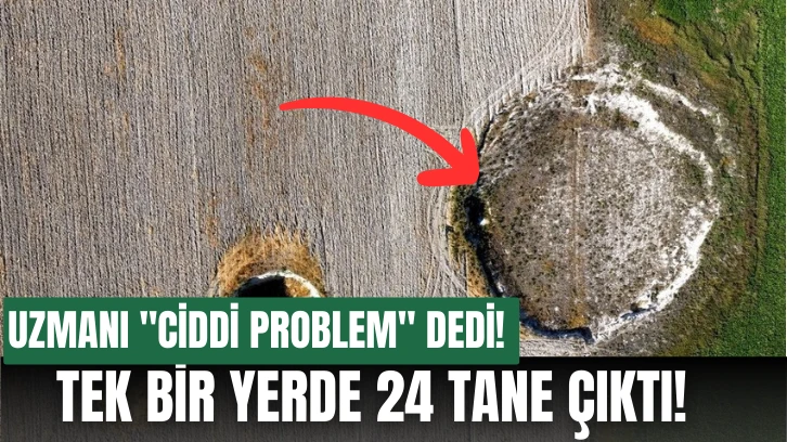 Uzmanı 'Ciddi Problem' Dedi! Tek Bir Yerde 24 Tane Çıktı! 