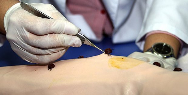 Dünyada bir ilk