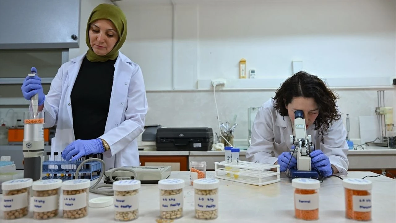 'Işınlama' uygulamalarıyla gıdaların güvenliği artırılıyor