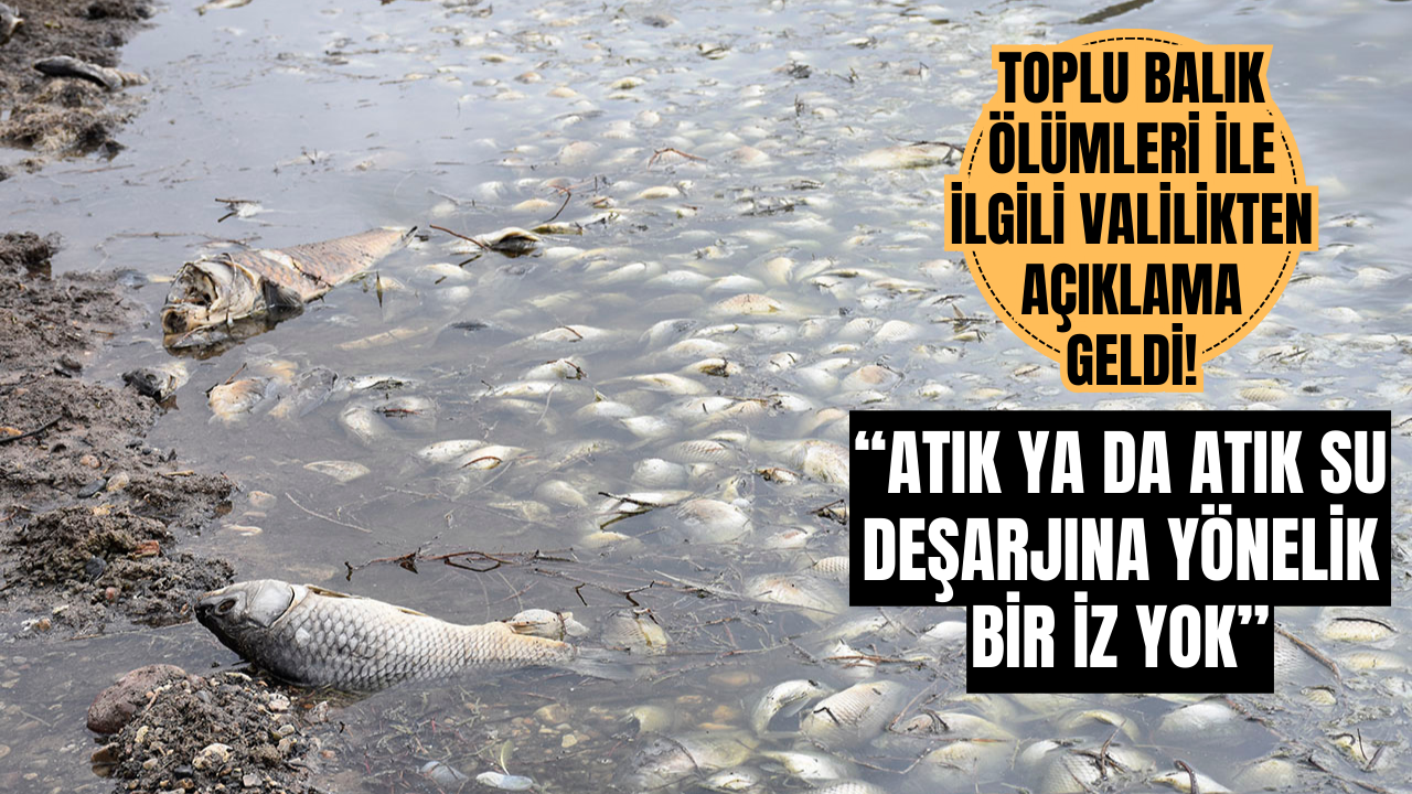Valilikten Toplu Balık Ölümlerine İlişkin Açıklama