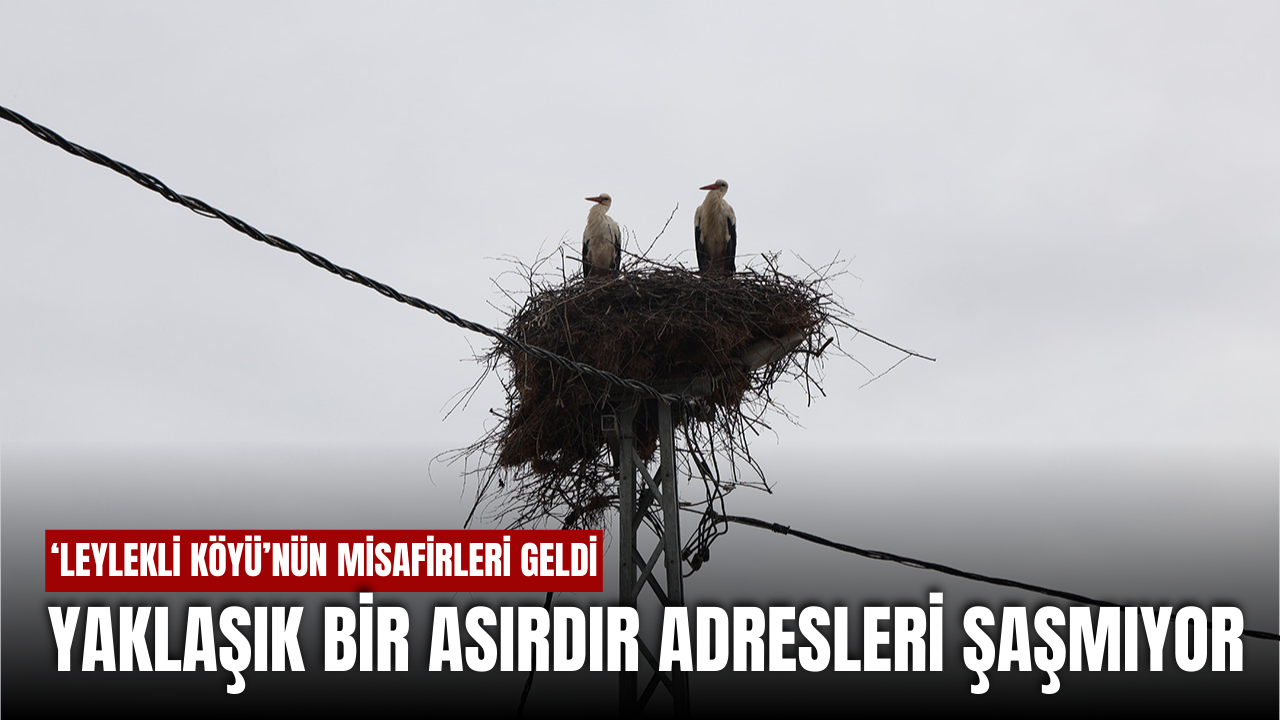 Leylekli Köyü'nün Özel Misafirleri Geldi