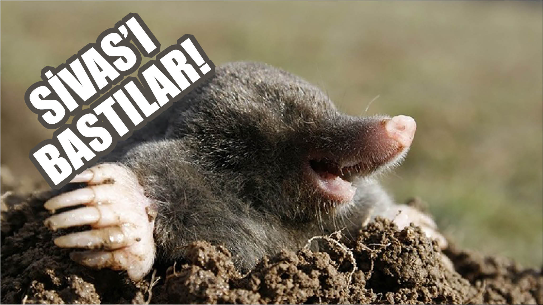 Sivas'ı Bastılar!