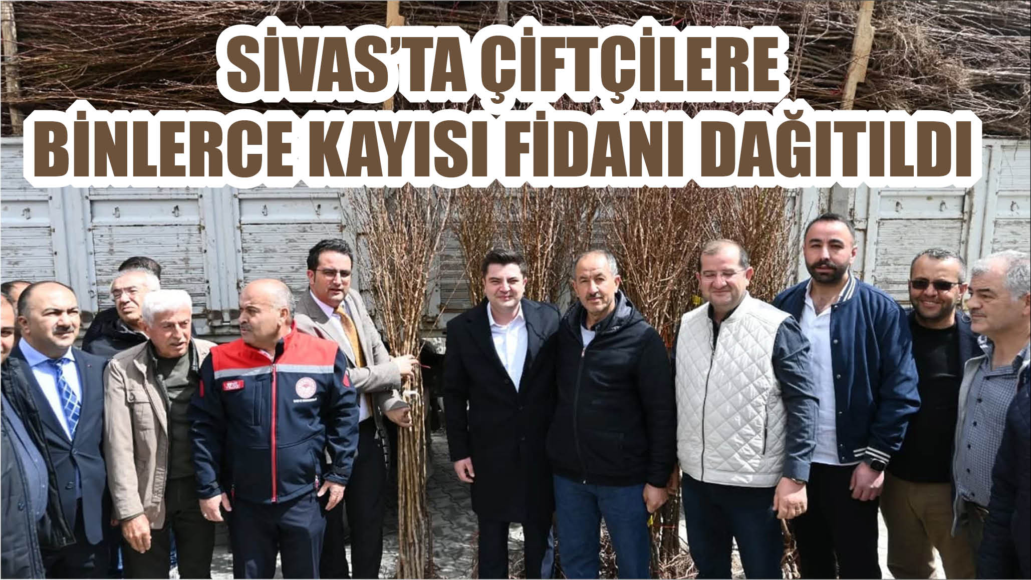 Sivas'ta Çiftçilere Binlerce Kayısı Fidanı Dağıtıldı