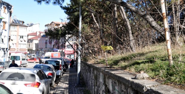 Dikenli Teller, Tehlike Saçıyor