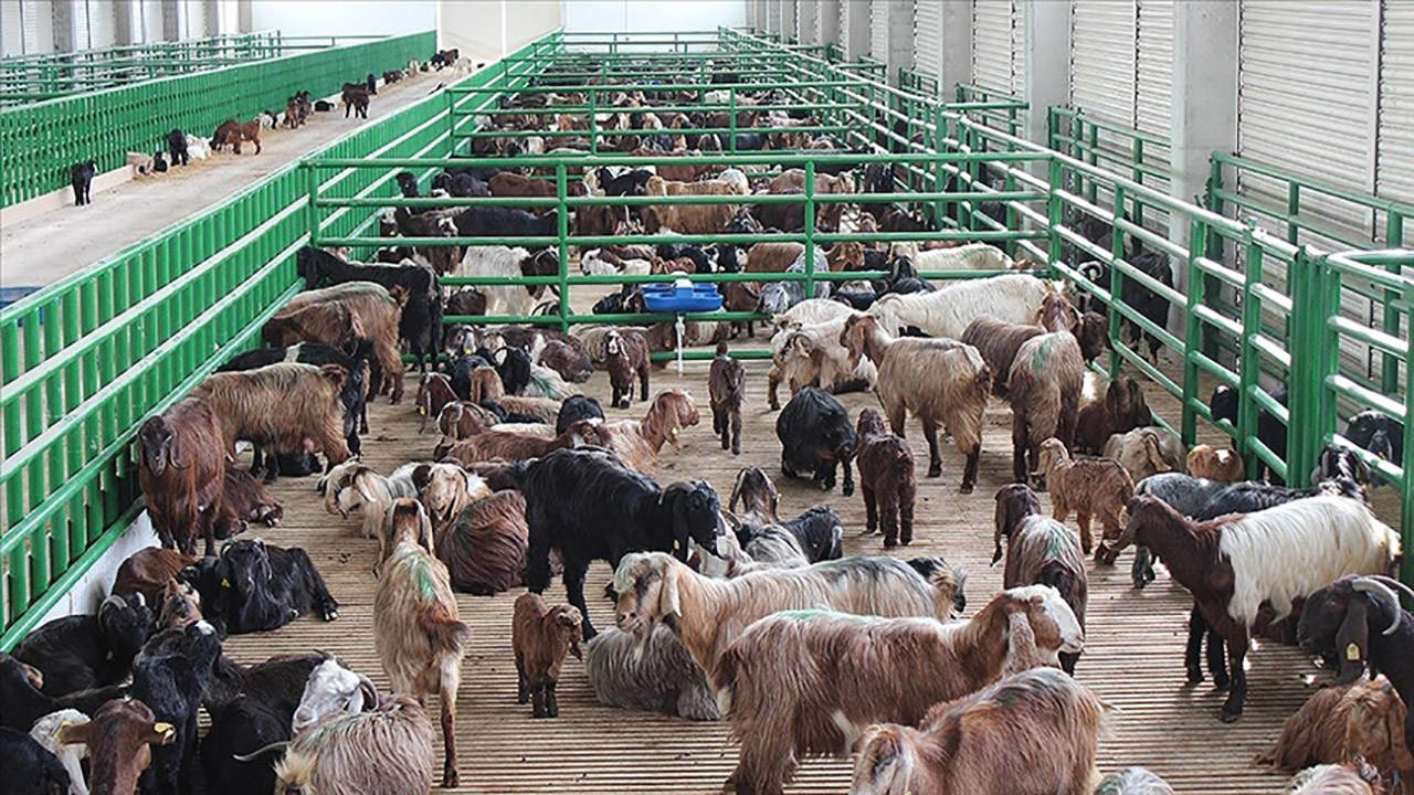 Destekleme Başvuruları Yarın Başlıyor